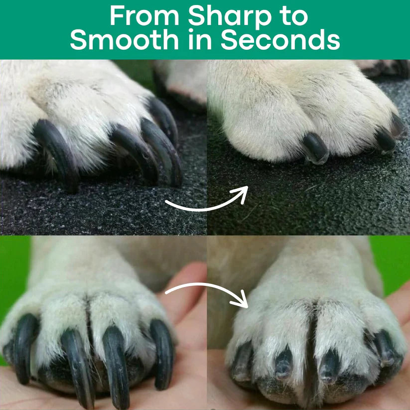 pet favorite 🐱Pet nail clippers for cats and dogs