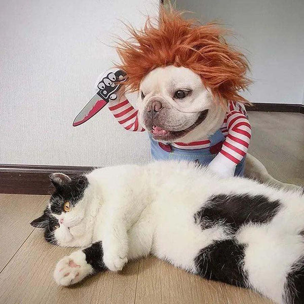 🎁 Holiday Special🔥Pet Deadly Doll Halloween Costume