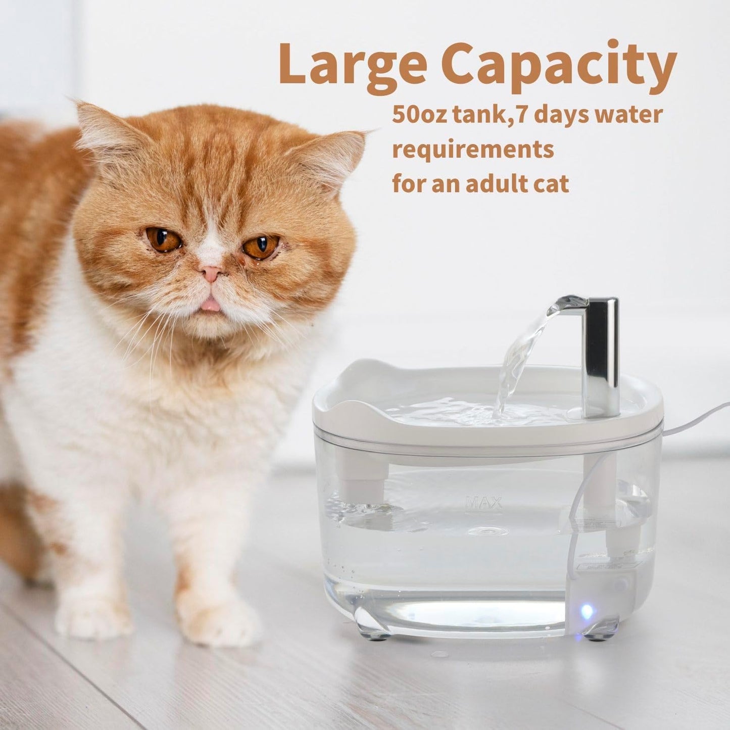 Pet Water Fountain for Cats Kitten Dogs
