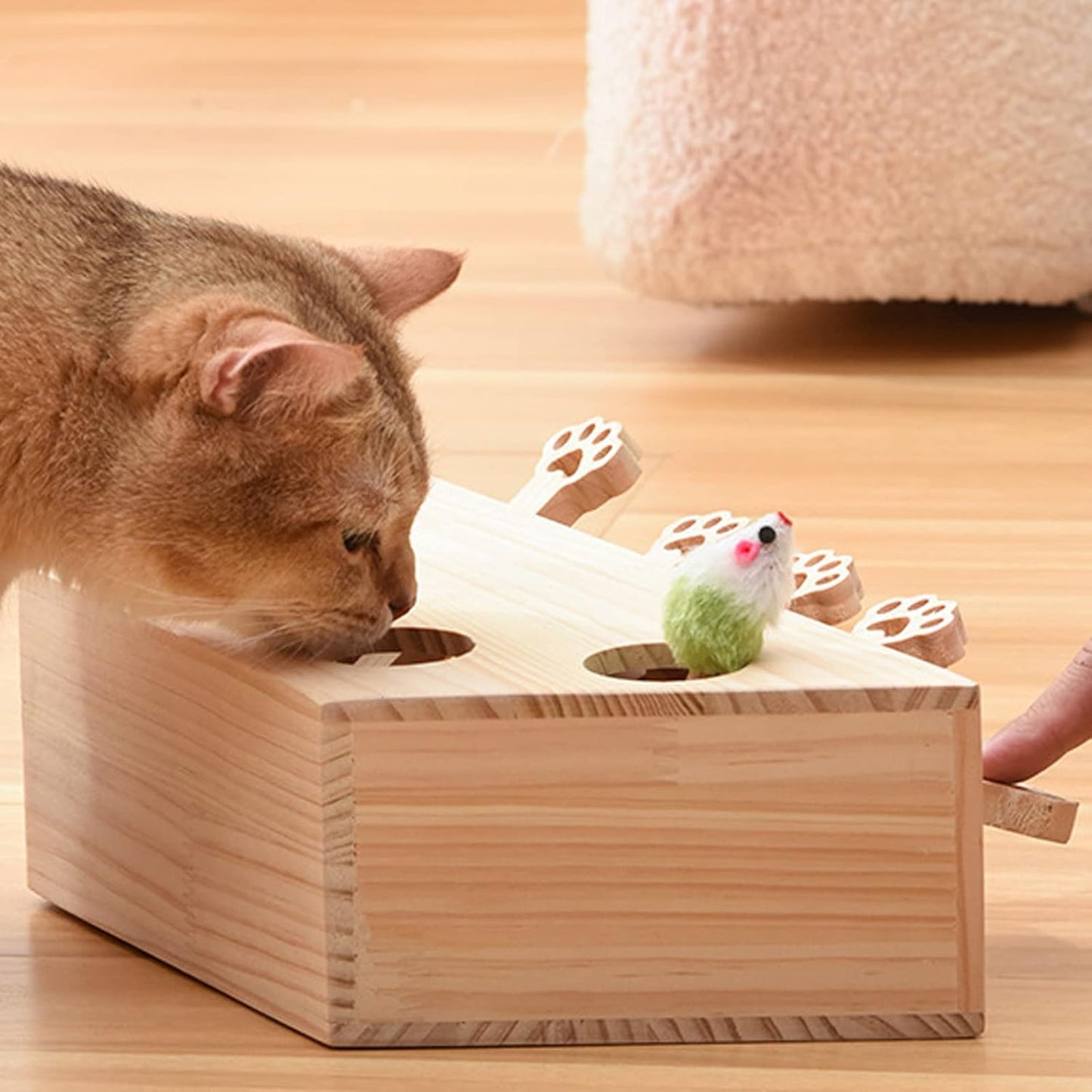 🐾 5-Hole Puzzle Play Toy for Cats