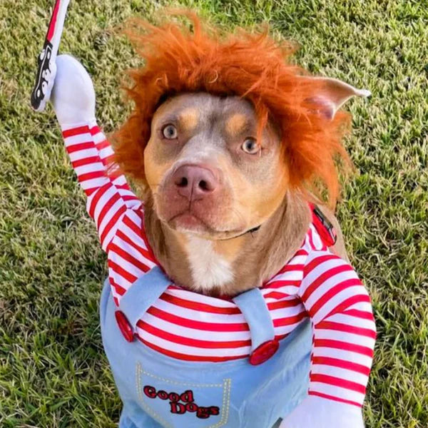 🎁 Holiday Special🔥Pet Deadly Doll Halloween Costume