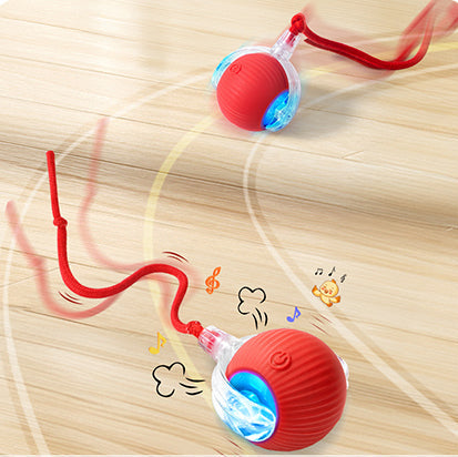 ✨Boredom Buster for Indoor Cats! Smart Band Wake-Up